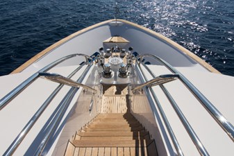 4*PUPPIES 46 Foredeck