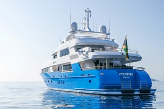 4*PUPPIES 49 At Anchor Stern Portside