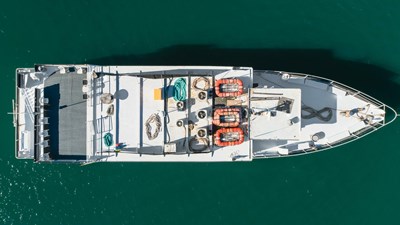 Enhydra 57 image-2806570 (3)